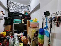 Blk 288 Tampines Street 22 (Tampines), HDB 5 Rooms #521140461